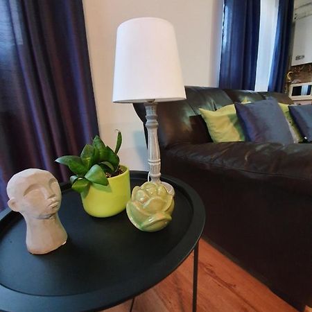 Gloria Apartament Apartman Nagybánya Kültér fotó