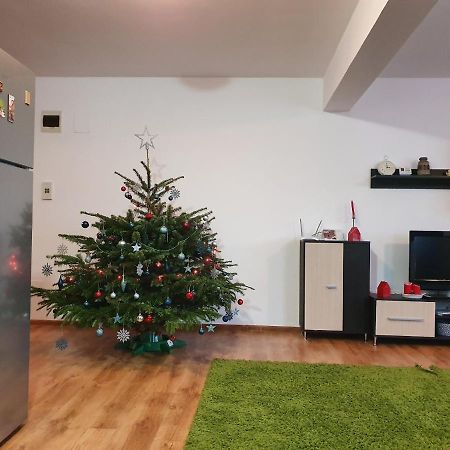 Gloria Apartament Apartman Nagybánya Kültér fotó