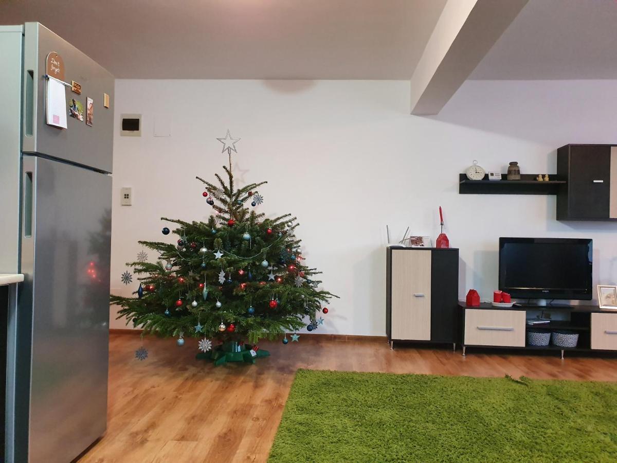 Gloria Apartament Apartman Nagybánya Kültér fotó