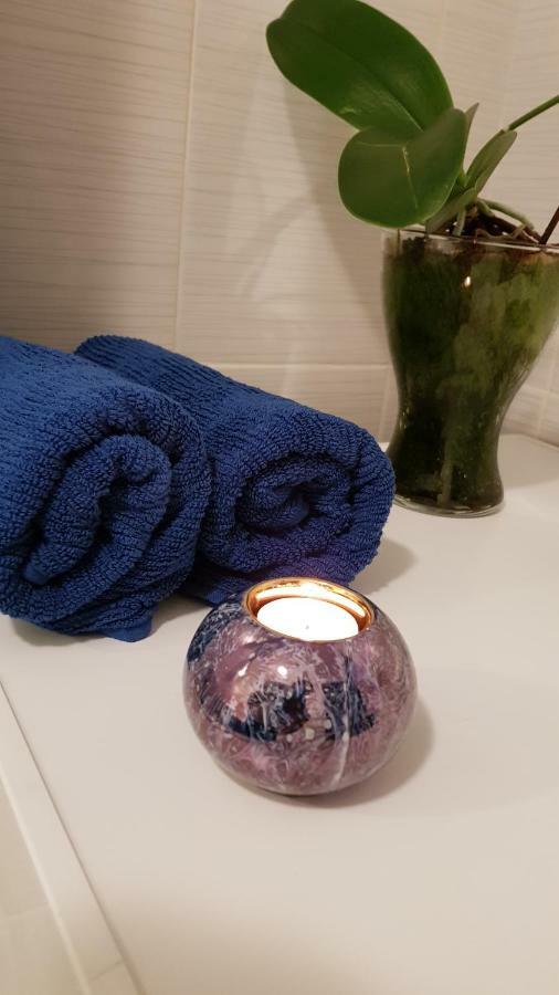 Gloria Apartament Apartman Nagybánya Kültér fotó